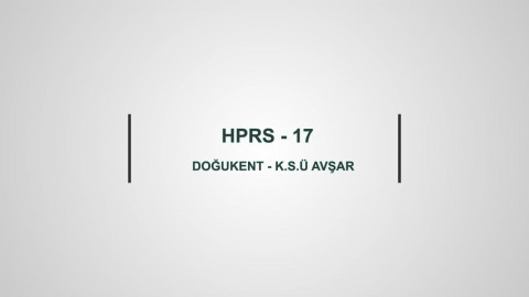HPRS 17