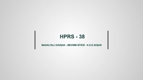 HPRS 38